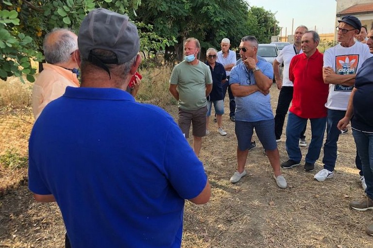 Visite campo cipolle