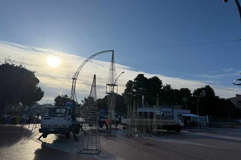 Allestimento stella di natale