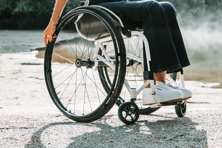 Disabilità